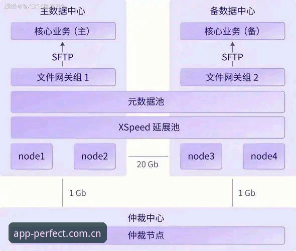 完美体育中国站esports数据下载不了与安卓稳定体验对比：问题根源与解决路径